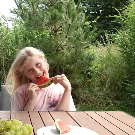 Design Sint Maartenszee Chalé