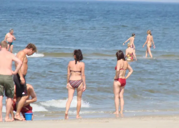 Design Sint Maartenszee